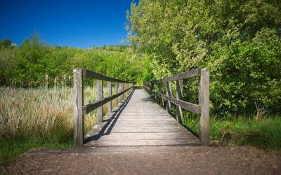 walking trail bridge