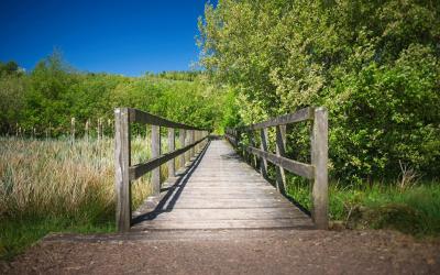 Bridge at Barstobrick