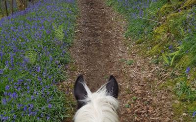 Pony trekking at Barstobrick