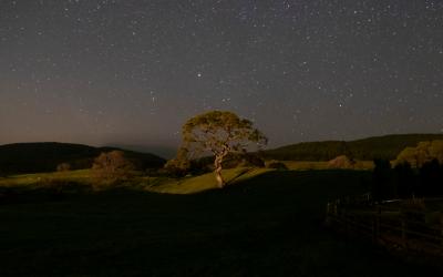 Dark skies over Kirroughtree forest