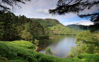 Loch Trool Galloway Forest Park