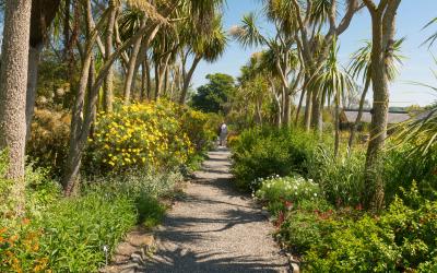 Logan Botanic Garden