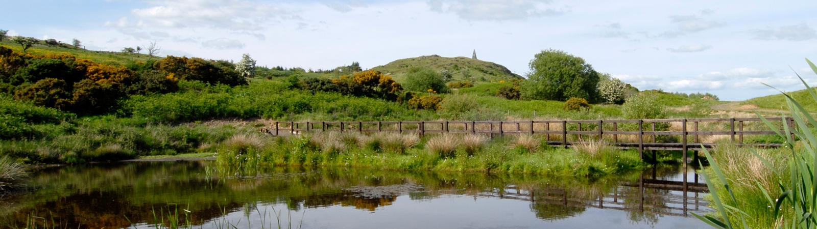 Neilson's monument Barstobrick
