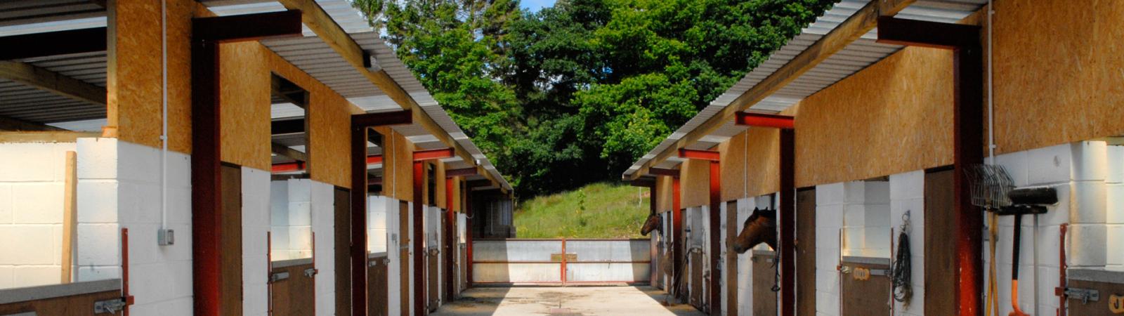 Barstobrick Riding Centre Livery Stables