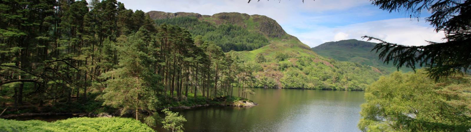 Loch Trool Galloway Forest Park