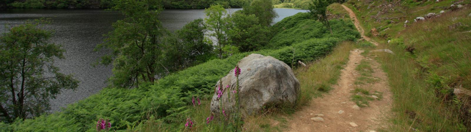 Loch Trool