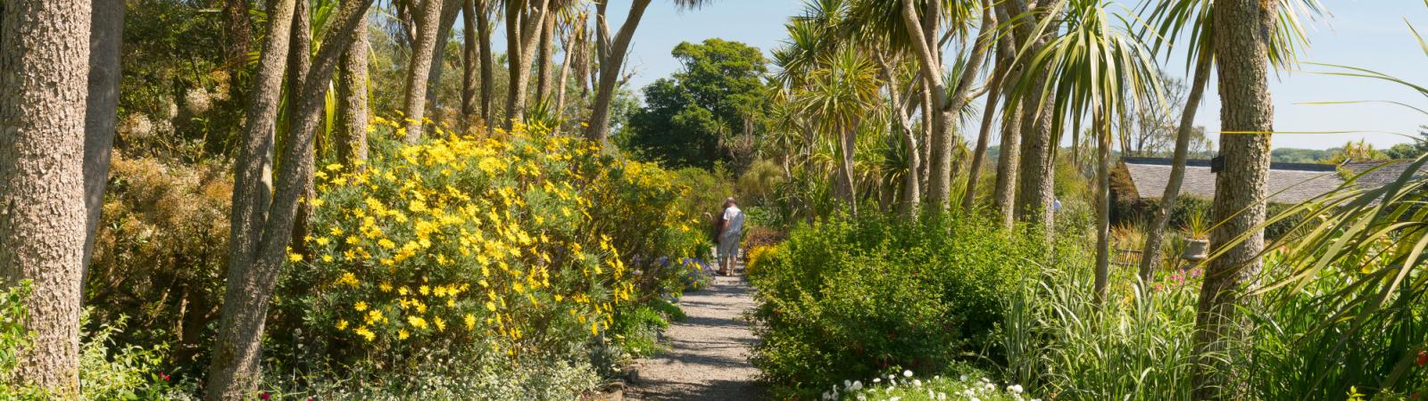 Logan Botanic Garden